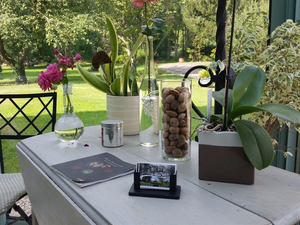 Vila Seine En Bulles Bar-sur-Seine Exteriér fotografie